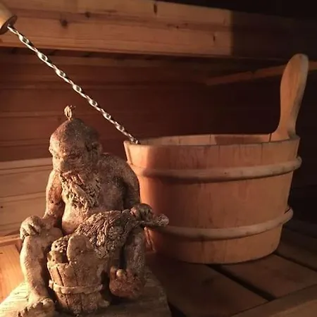 Authentic Arctic By The River Saunavaara